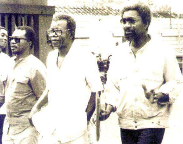 John pepper clark overviews and general studies essay 08 picture