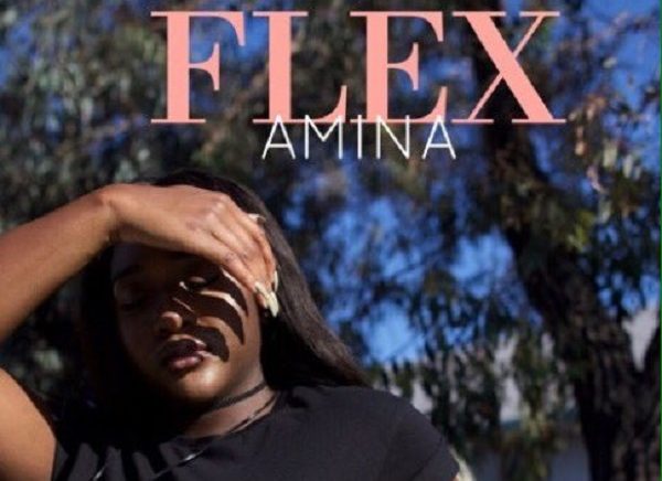 Music : Flex (Prod. by Adey) – Amina