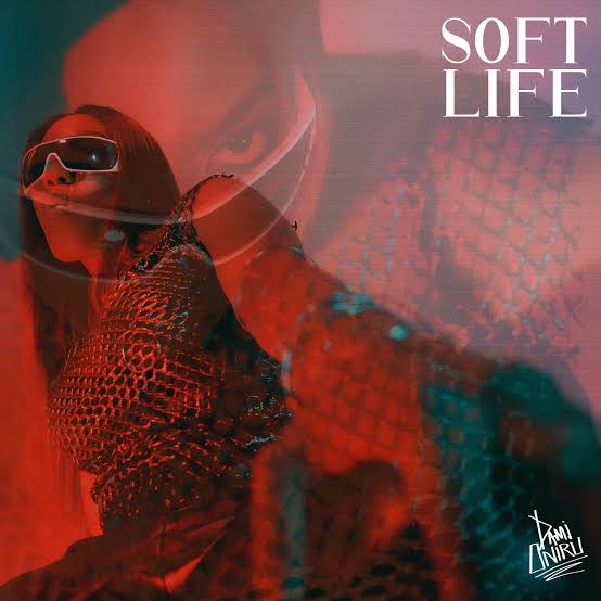 Rising Nigerian Star Dami Oniru Returns With Smooth New Single, ‘Soft Life’